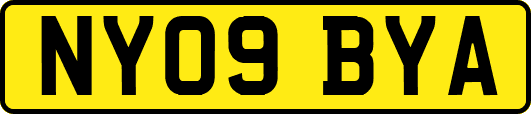 NY09BYA