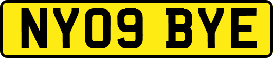 NY09BYE