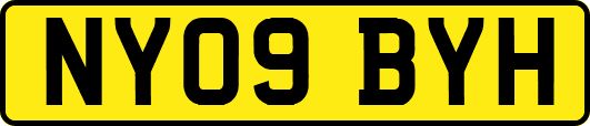 NY09BYH