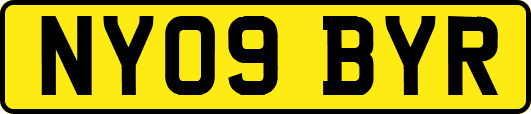 NY09BYR