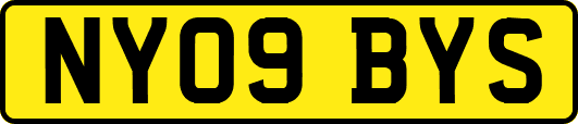 NY09BYS