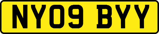 NY09BYY