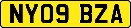 NY09BZA