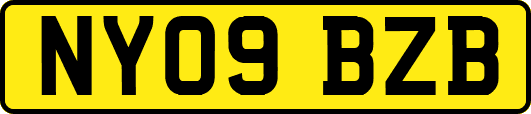 NY09BZB