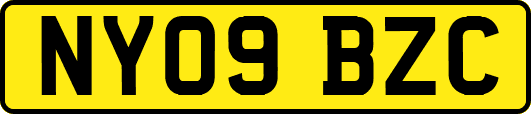 NY09BZC