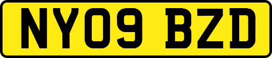 NY09BZD