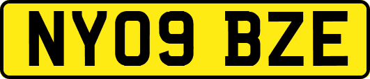 NY09BZE