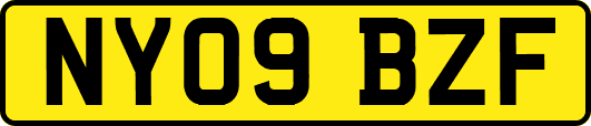 NY09BZF