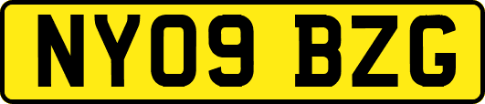 NY09BZG
