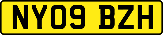 NY09BZH