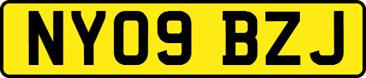 NY09BZJ