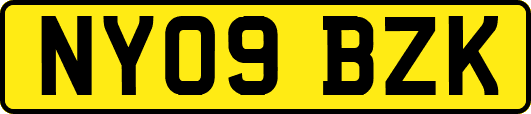 NY09BZK