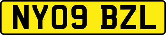 NY09BZL