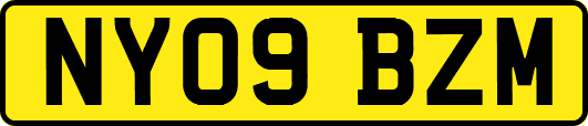 NY09BZM