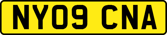 NY09CNA