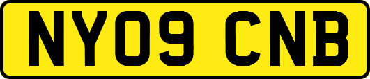 NY09CNB