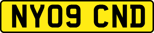 NY09CND
