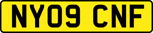 NY09CNF