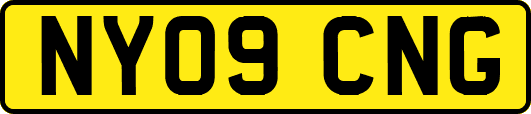 NY09CNG