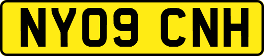 NY09CNH