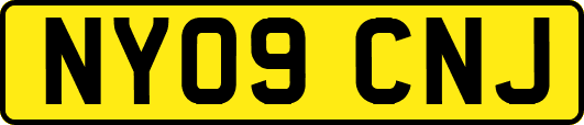 NY09CNJ