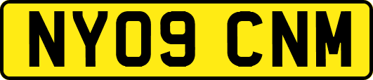 NY09CNM