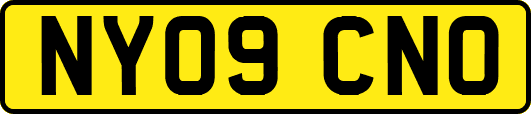 NY09CNO