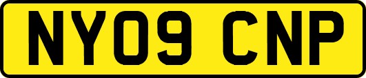 NY09CNP
