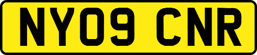 NY09CNR