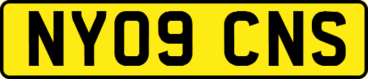NY09CNS