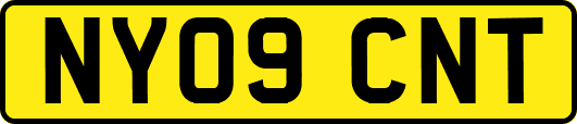 NY09CNT