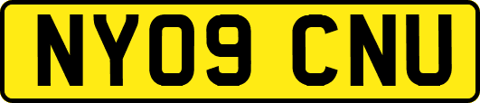 NY09CNU