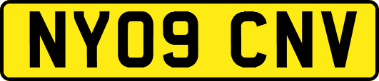 NY09CNV
