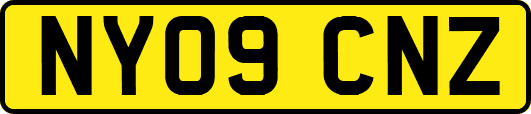 NY09CNZ