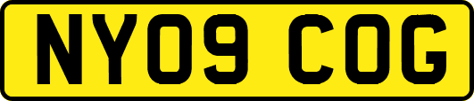 NY09COG