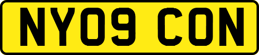 NY09CON