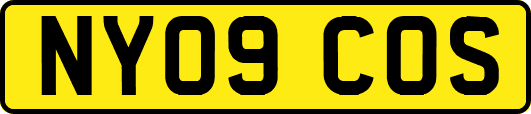 NY09COS