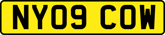 NY09COW