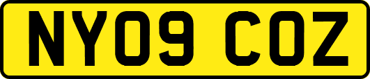 NY09COZ