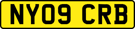 NY09CRB