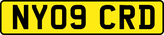 NY09CRD