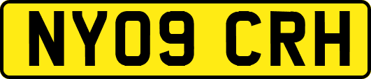 NY09CRH