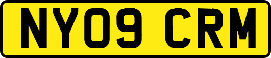 NY09CRM