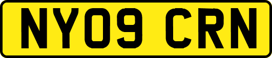NY09CRN