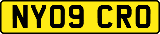 NY09CRO