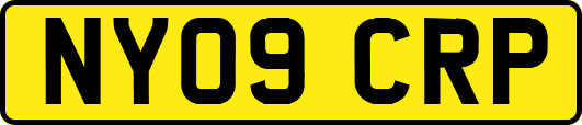 NY09CRP
