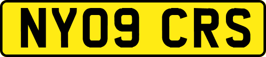 NY09CRS