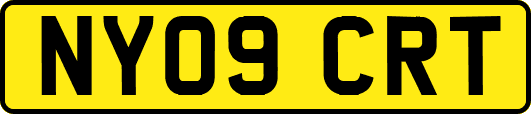 NY09CRT