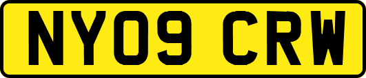 NY09CRW