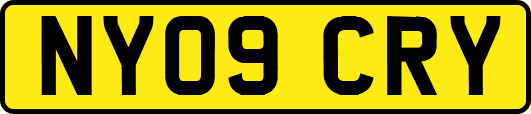 NY09CRY